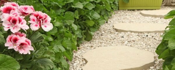 Aménagement d'une allée de jardin